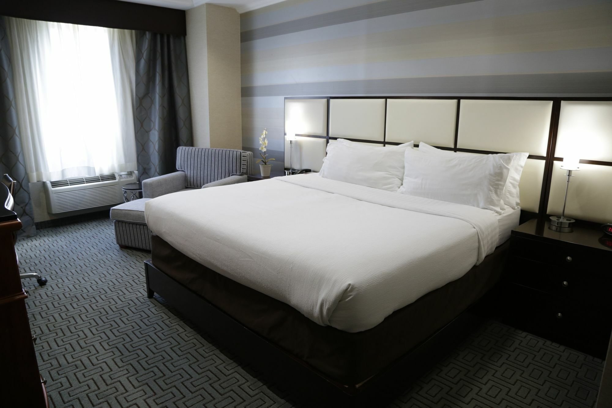 Holiday Inn Plainview-Long Island By Ihg Ngoại thất bức ảnh